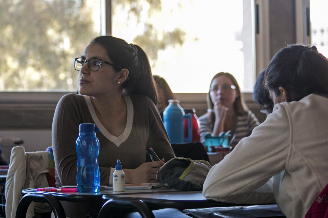 imagen Estudiantes avanzados del profesorado en Discapacidad Intelectual podrán ofrecer tutorías entre pares