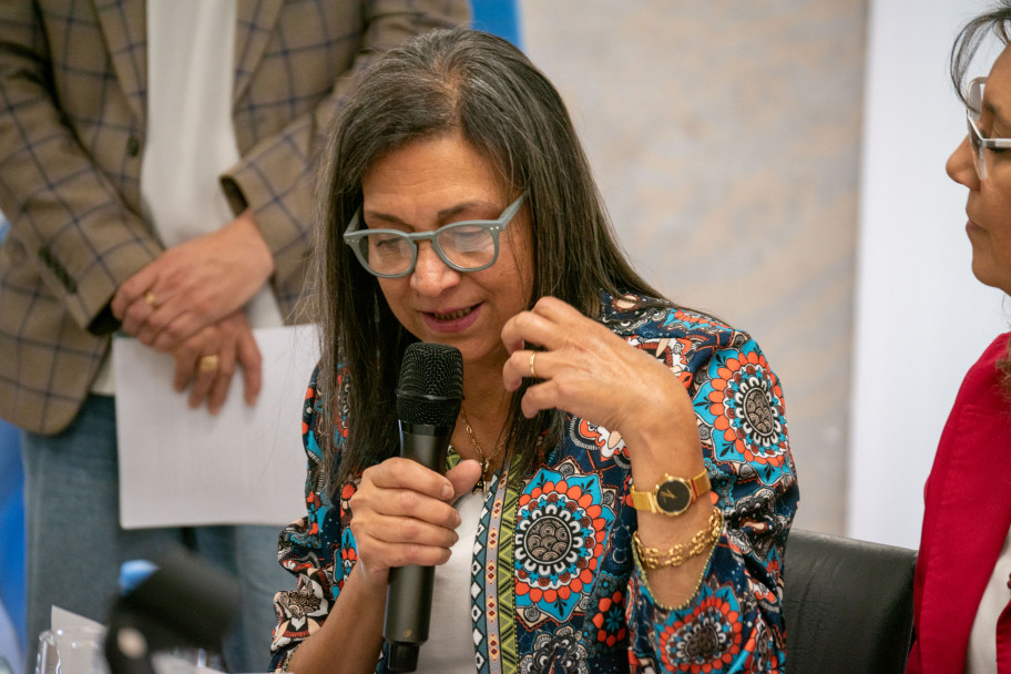 imagen Mónica Castilla: "La universidad pública ha sido de fundamental importancia y es un deber defenderla"