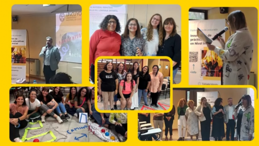 imagen Concluyó la primera cohorte de la Diplomatura en Innovación de Prácticas en el Nivel Inicial