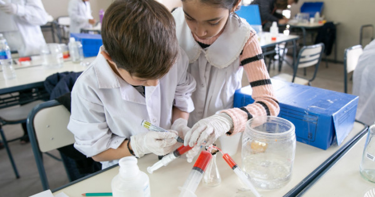 imagen Comienzan en la UNCuyo talleres que buscan despertar la vocación científica en niños