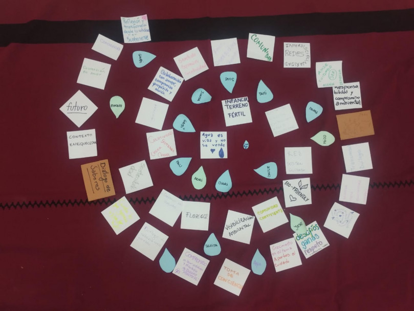 imagen Fortalecen el compromiso con la Ley de Educación Ambiental en las aulas 