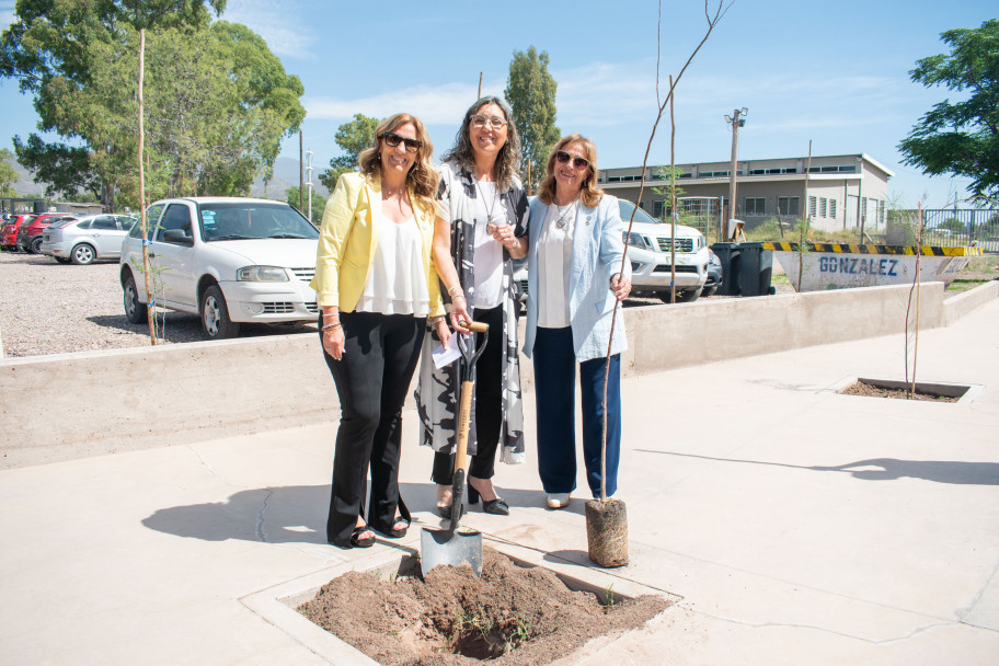 imagen Treinta árboles representan los primeros 30 años de la Facultad de Educación de la UNCuyo