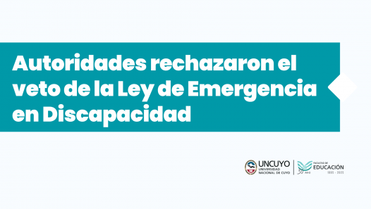 imagen Autoridades rechazaron el veto de la Ley de Emergencia en Discapacidad