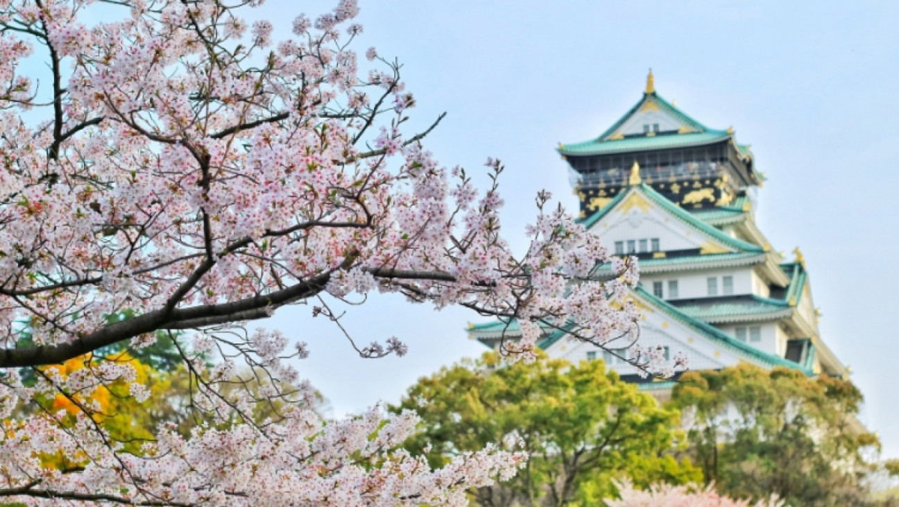 imagen Ofrecen becas de perfeccionamiento docente y posgrado en Japón
