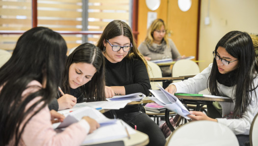 imagen Convocan a egresados del Profesorado en Discapacidad Visual para ser tutores