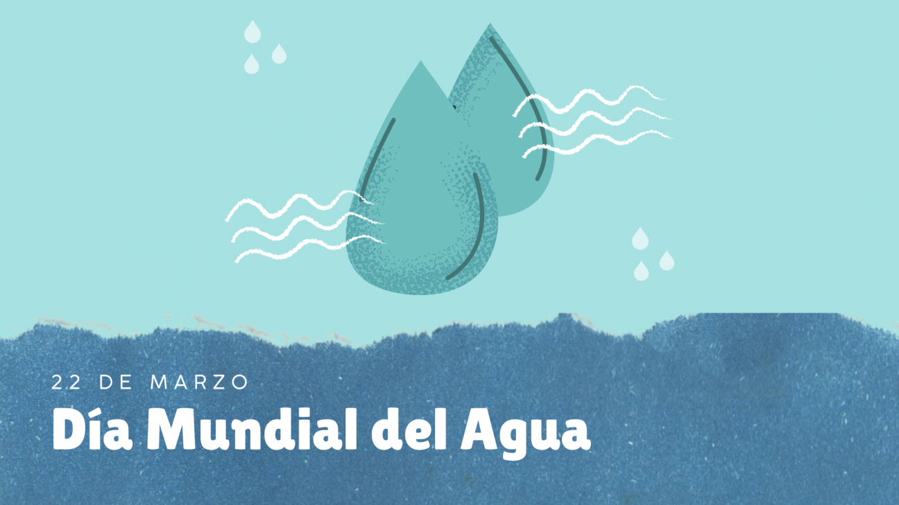 imagen Día Mundial del Agua