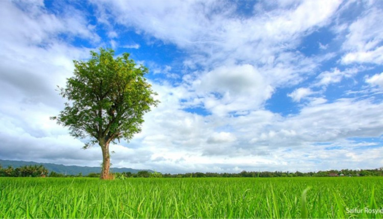 imagen Inscriben a Curso de Formación Ambiental para estudiantes