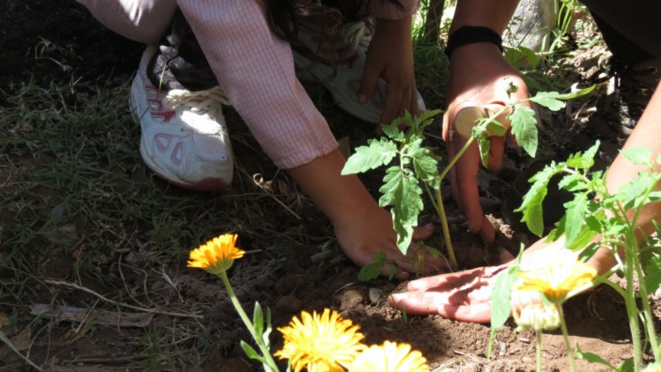 imagen Se brindará ciclo de formación en prácticas sociales educativas 