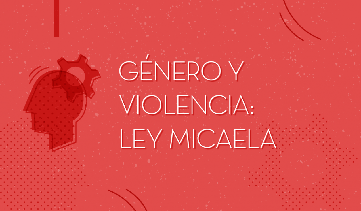 imagen "Ley Micaela": Capacitarán en la temática género y violencia en Junín 