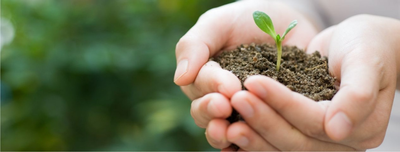 imagen Abordarán la educación socioambiental en charla abierta