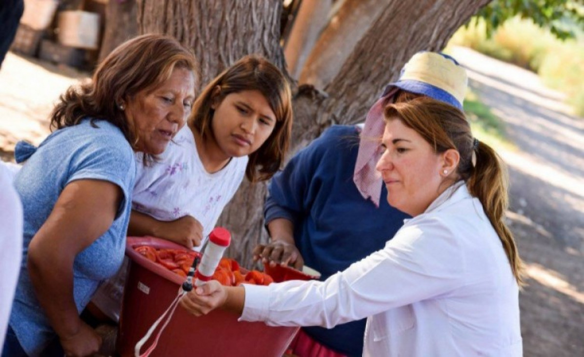 imagen Prácticas Sociales Educativas: equipos universitarios podrán desplegar acciones en la comunidad